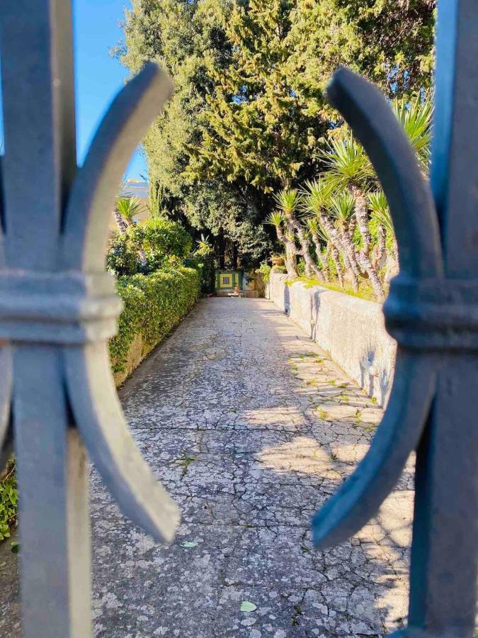 Villa Aurora Caprese - 3