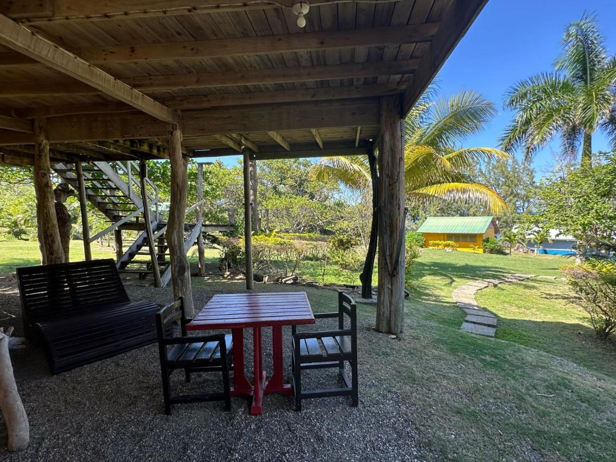 Blessings At Strawberry Fields - 4