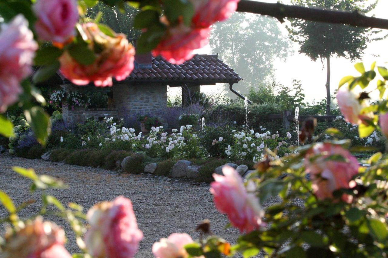 Le Soleil photo