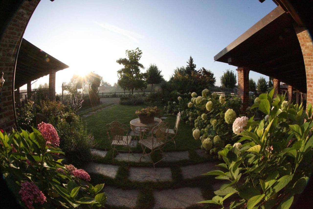 Le Soleil photo