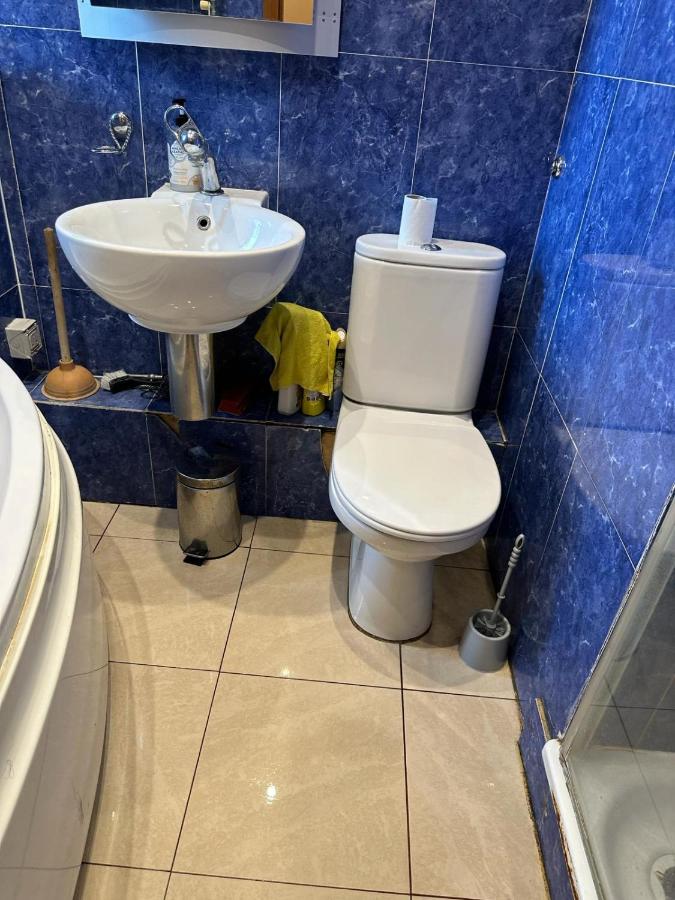 Shared accommodation ideal for professional or students in heart of London - 3