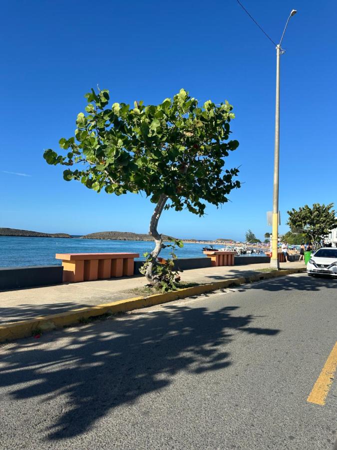 Tiny wooden home - 4