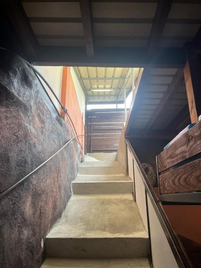 Suite au milieu des arbres - 5