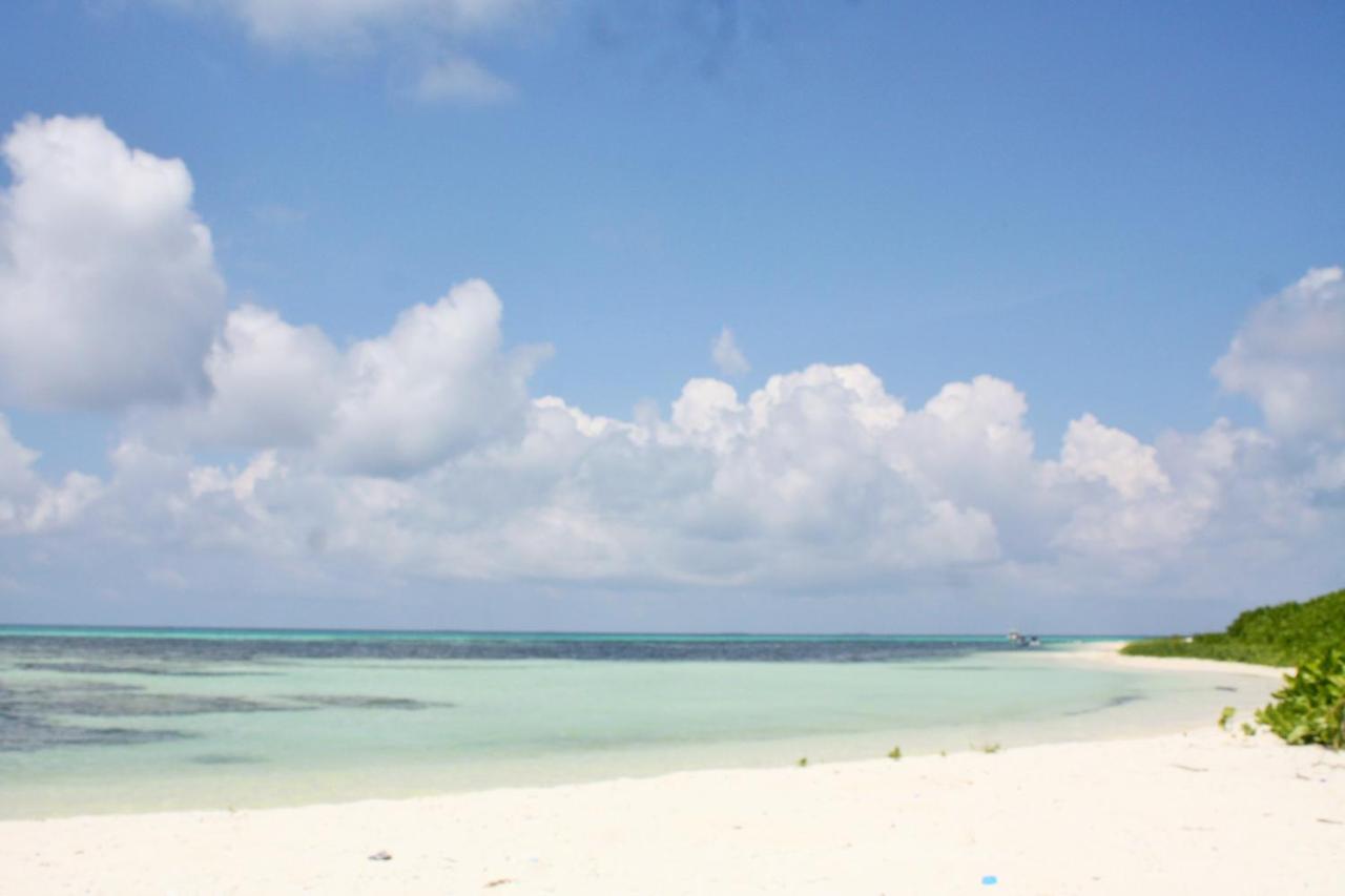 Beach: Shamar Guesthouse & Dive