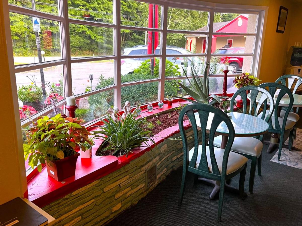 Buena Vista Motel — photo 1