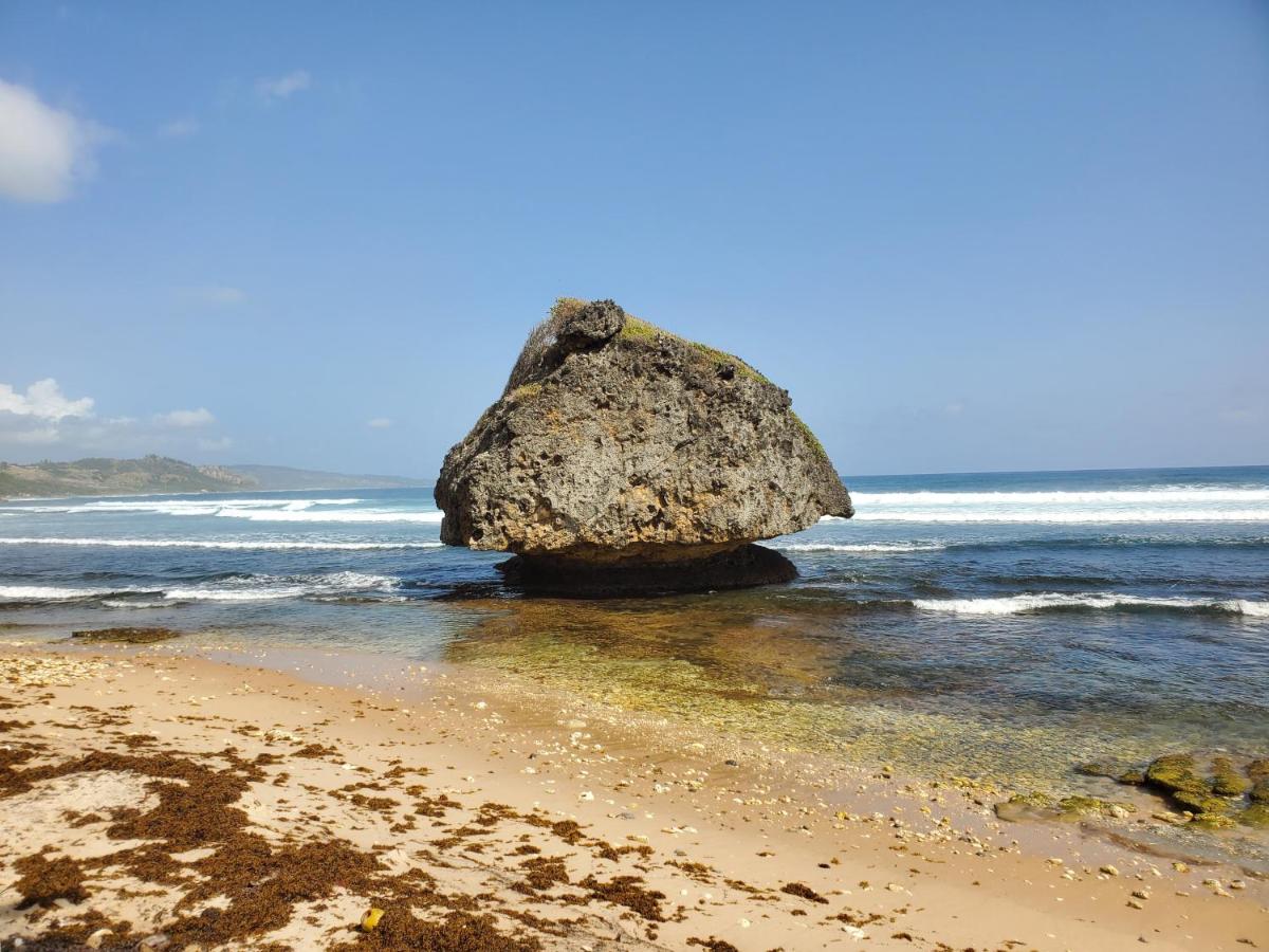 Atlantic Breezes - 4