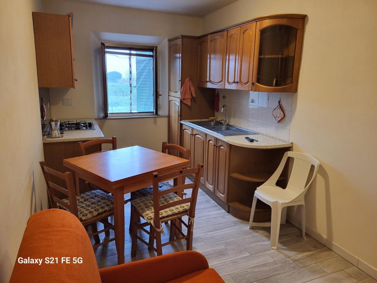 Grazioso appartamento con deposito bici S. Miniato - 4