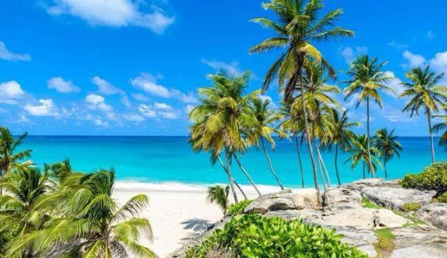 Eagle Stays Aruba-NEW Luxury, Cozy & Spacious Studio Near Eagle Beach! - 2