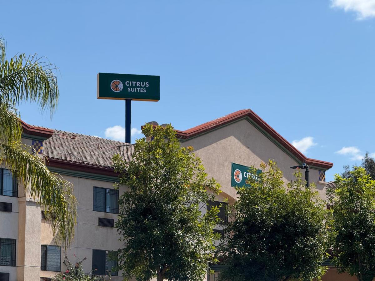 Citrus Suites Redlands Loma Linda Hotel — photo 7