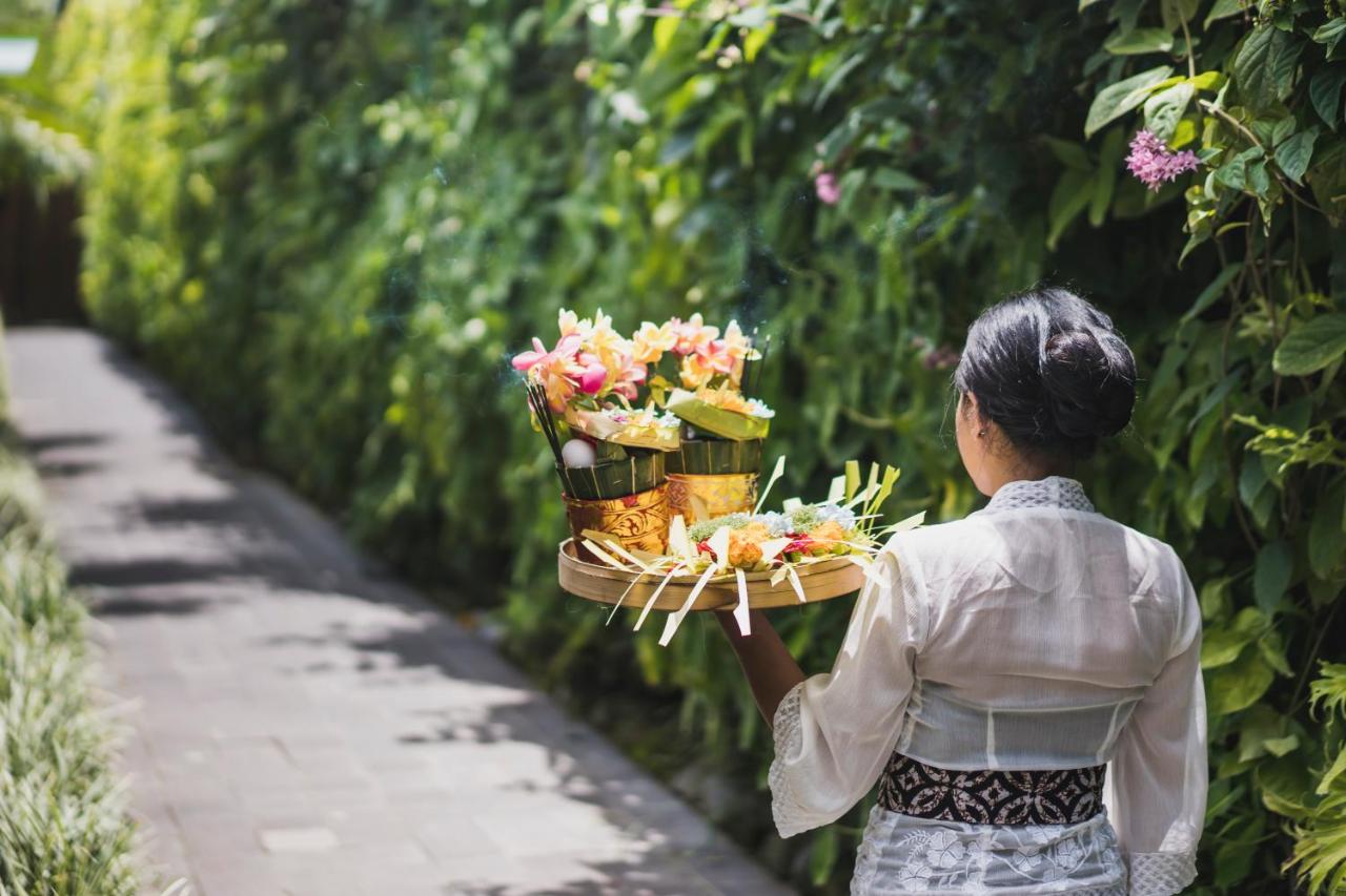 iSuite by Ekosistem - 3