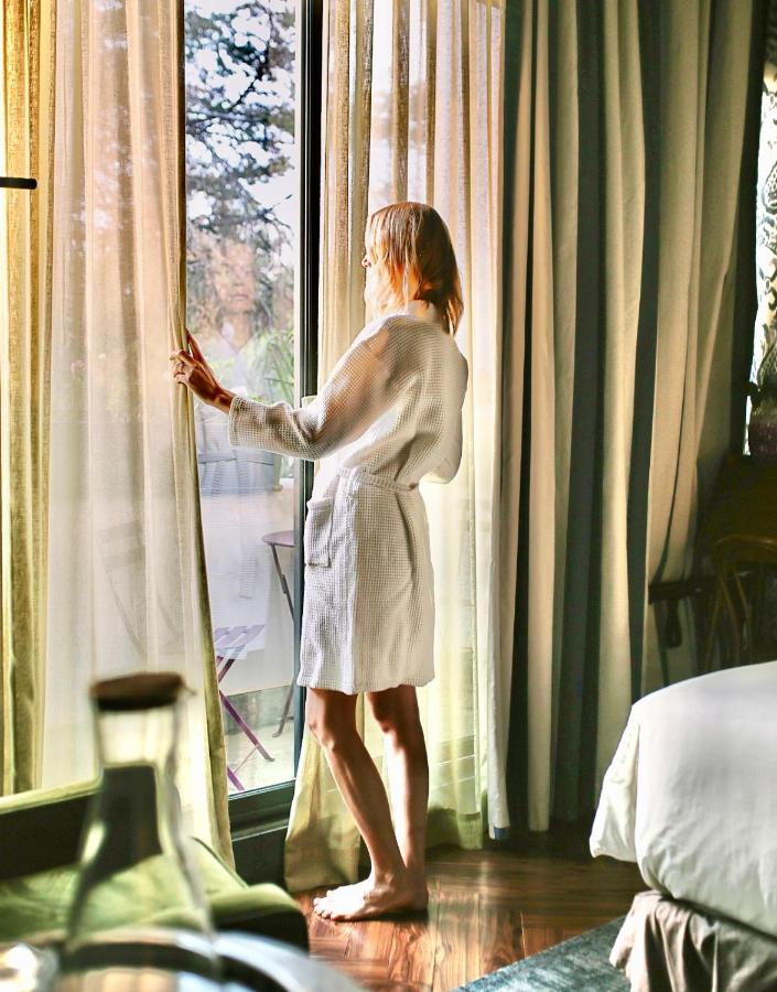 Pug Seal Polanco Anatole France - 4