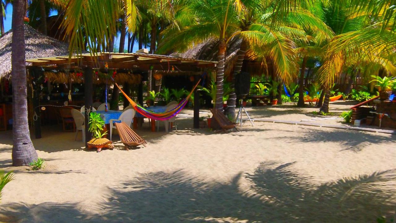 Bungalows Tree Tops - Adults Only photo