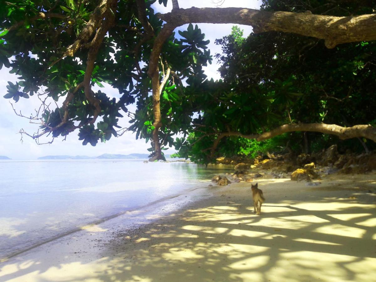Beach: Alam Indah Beach Resort Busuanga