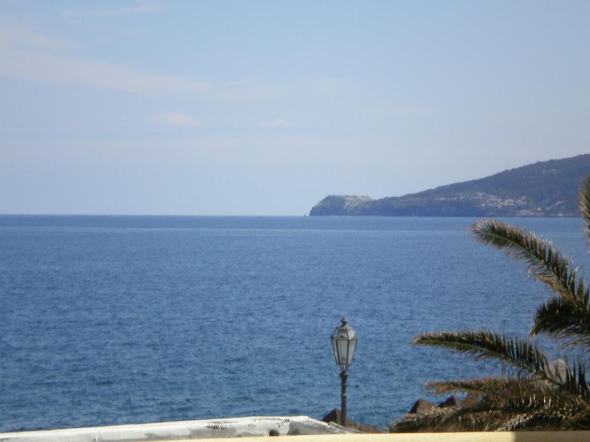 Il Delfino photo