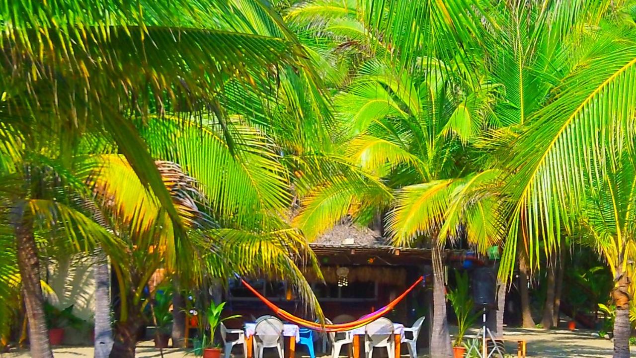 Bungalows Tree Tops - Adults Only photo