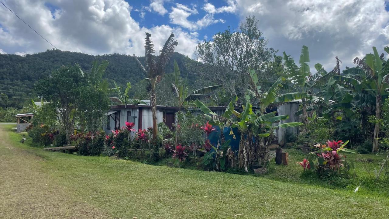 Village Stay Fiji at Navai Village Fiji - 4