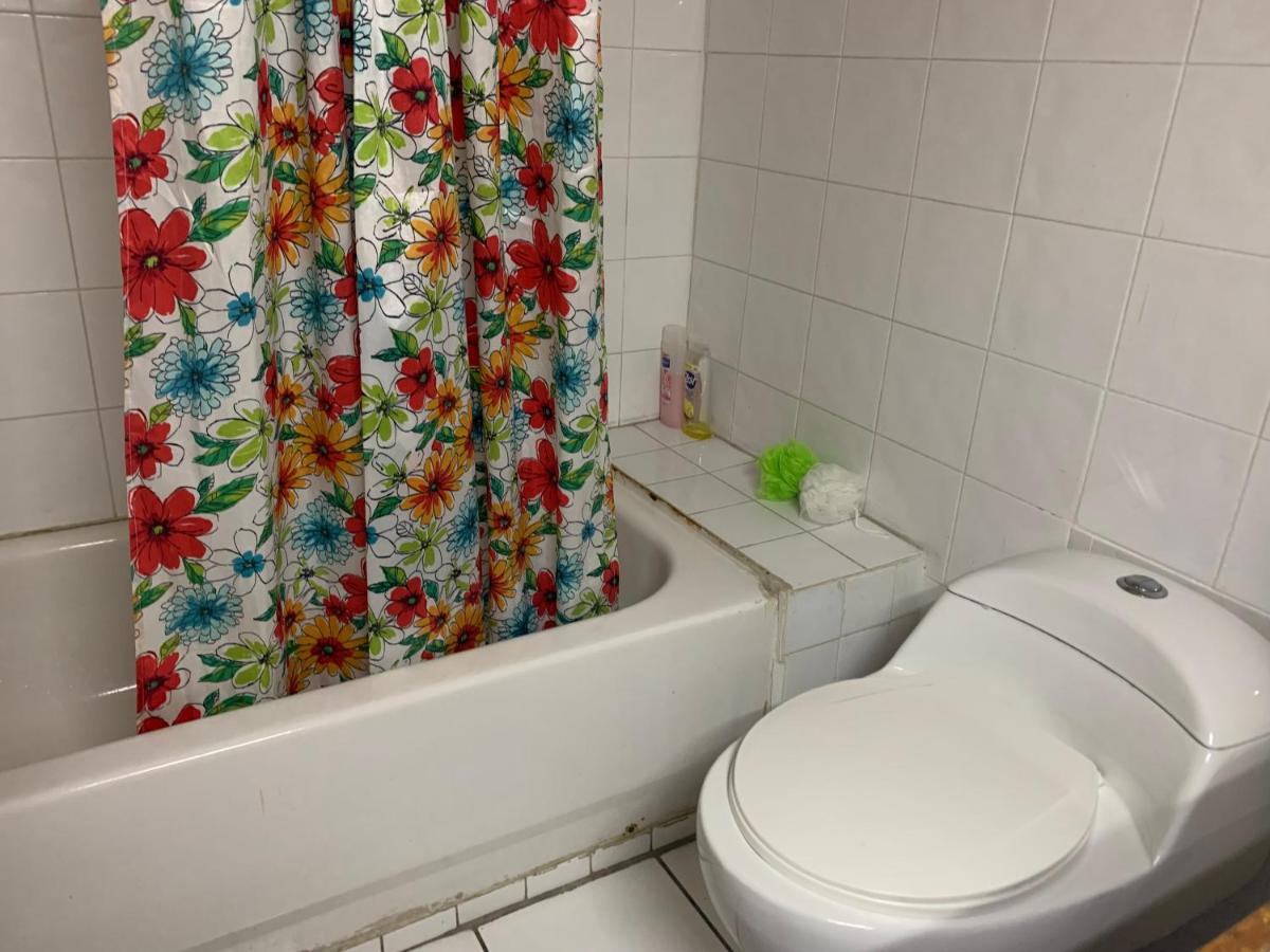 Garden Beach Resort - 3