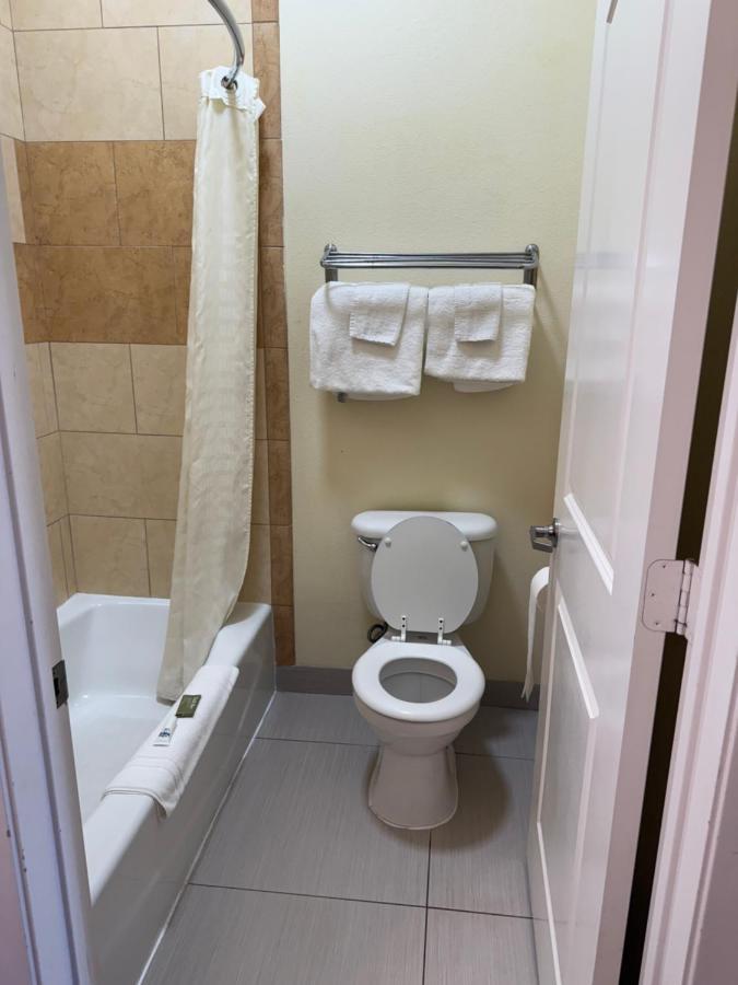 Executive — photo 14