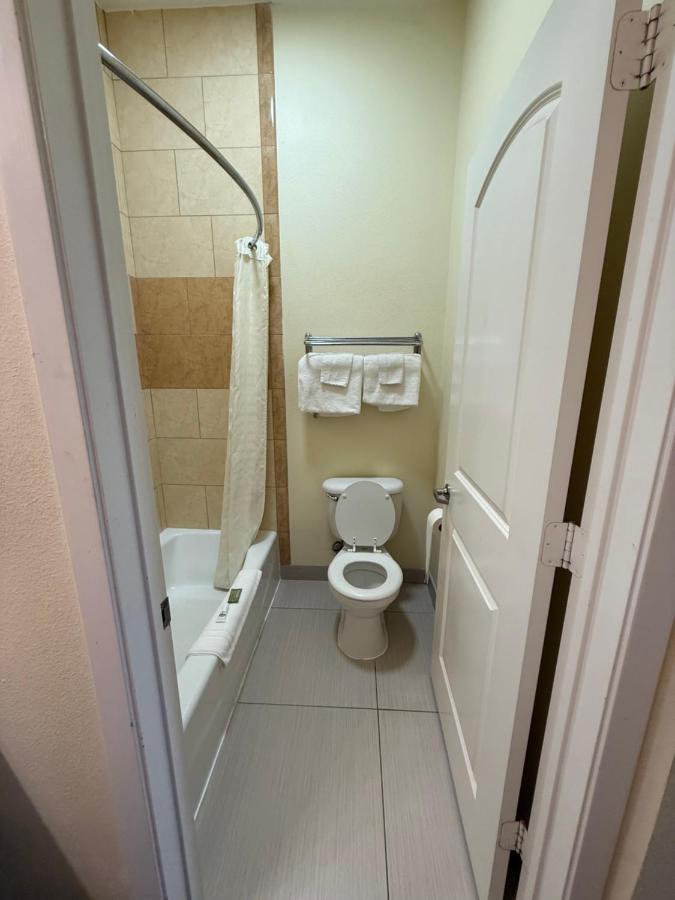Executive — photo 11