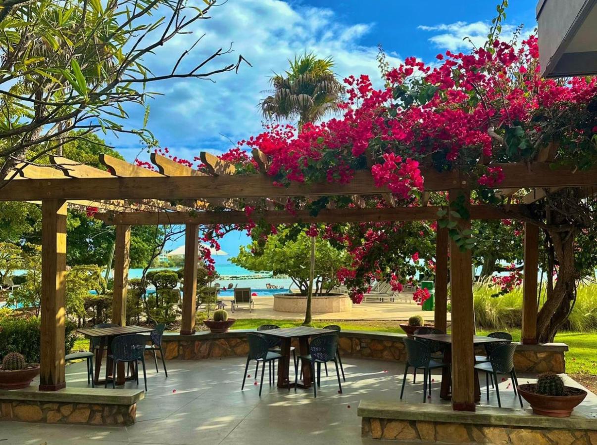 Copamarina Beach Resort & Spa - 4