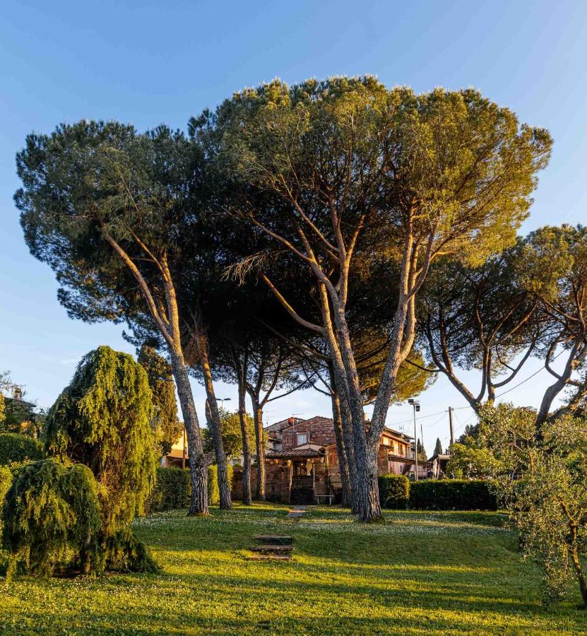 Collebrunacchi B&B - 5