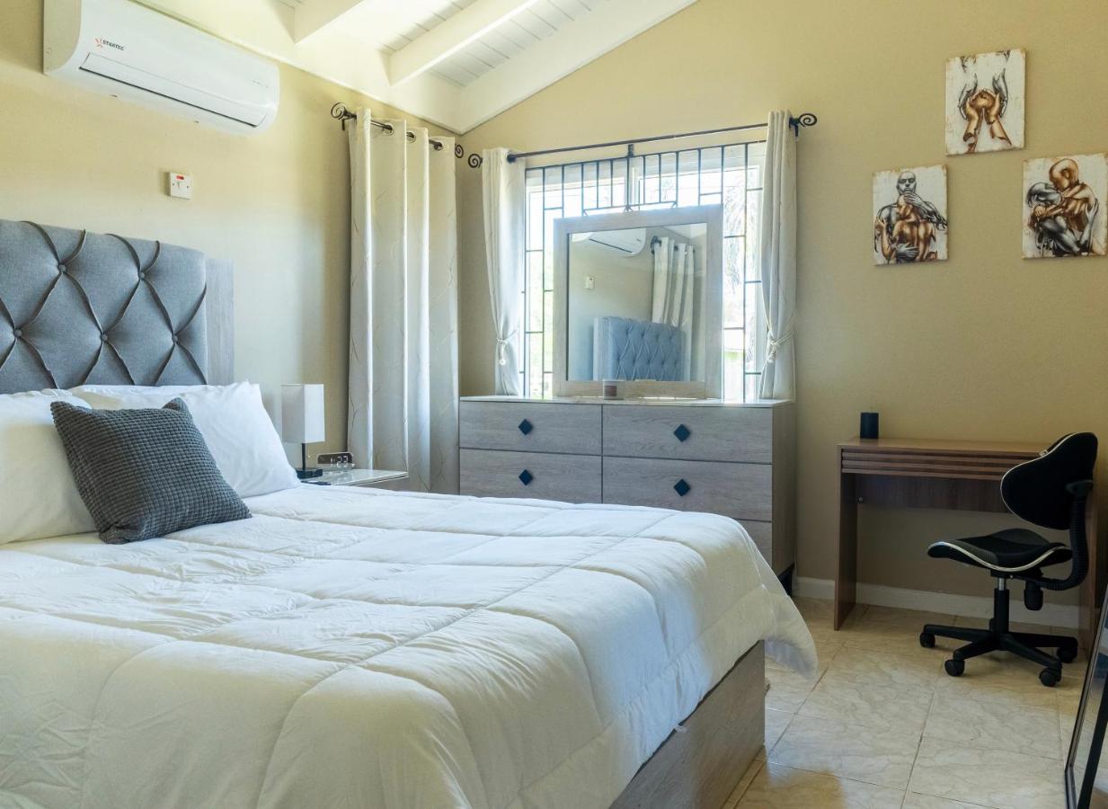 CIsland Experience - 2