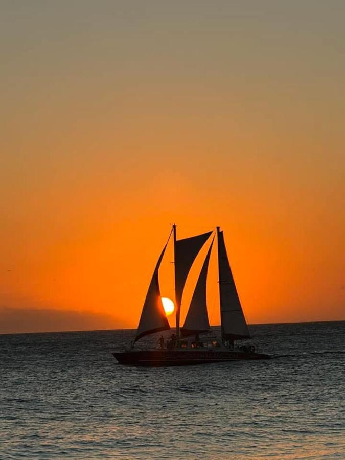 Treasures at the Pearl Eagle Beach