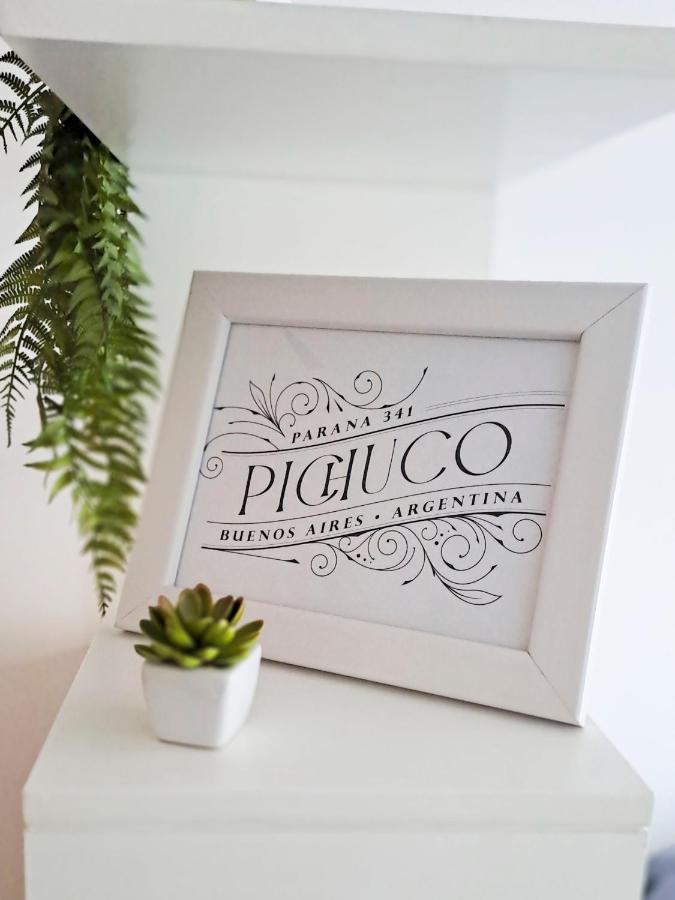 Departamento Pichuco - 3