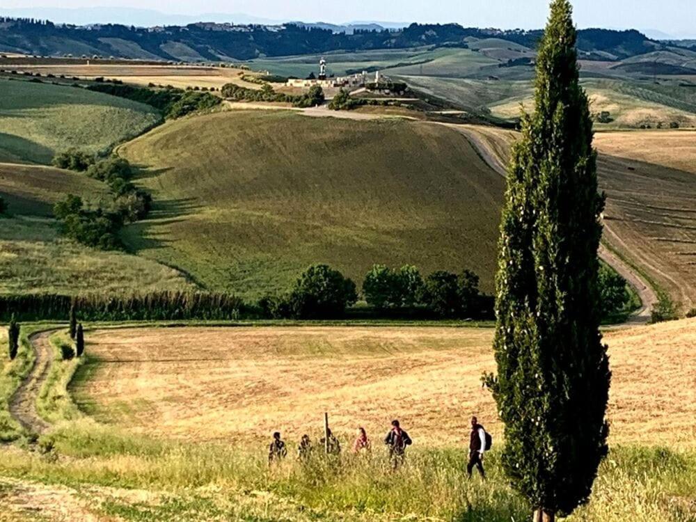 La Casina di Mariasole - 5