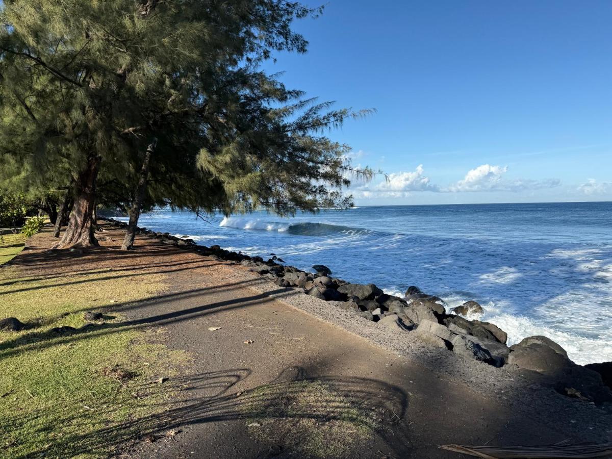 Arbre a pain Beach Lodge - 2