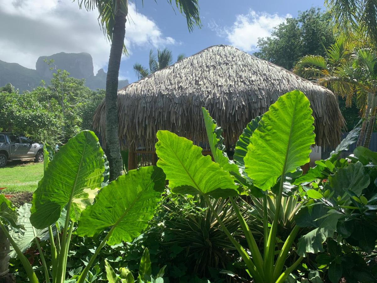 Tiki Ora Lodge - FETIA - 5