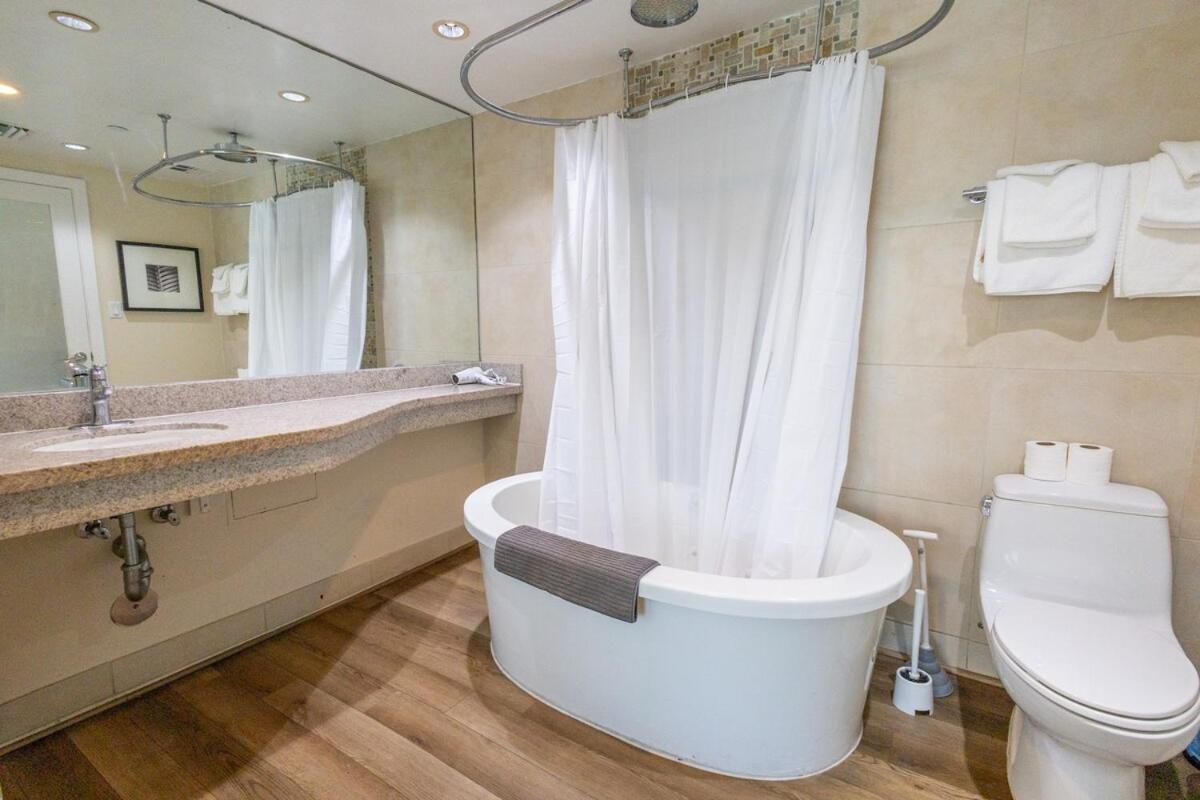 Beautiful 1 Bedroom with Rooftop Pool D203 - 4