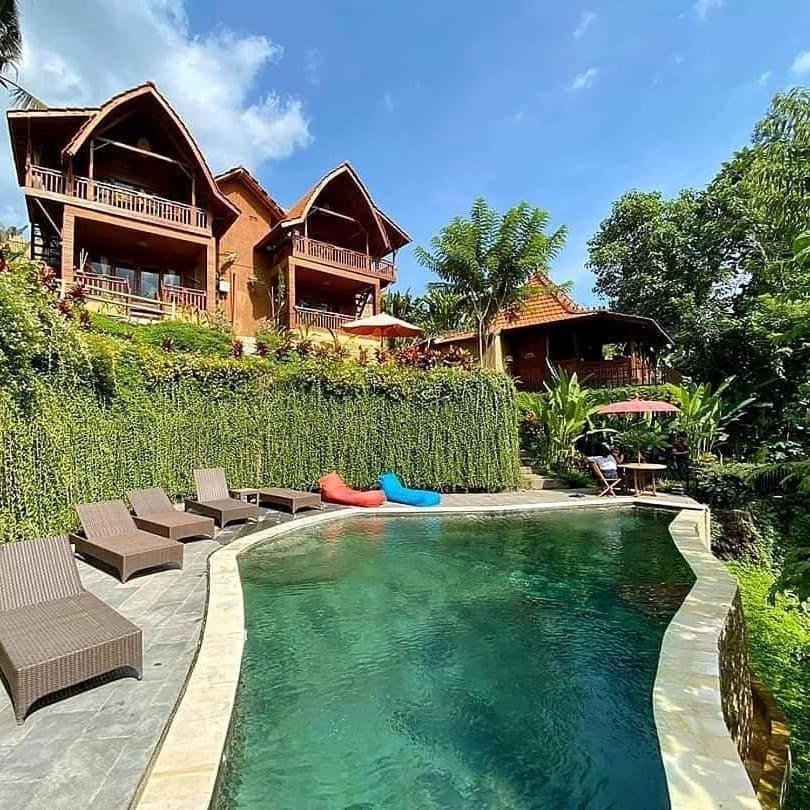 The Jungle Villa - 4