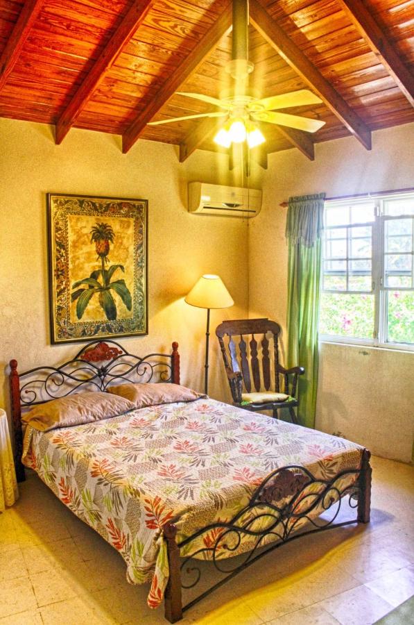 Gemini House Bed & Breakfast - 2