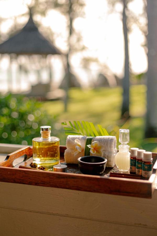 Ambre - Adults only - 3