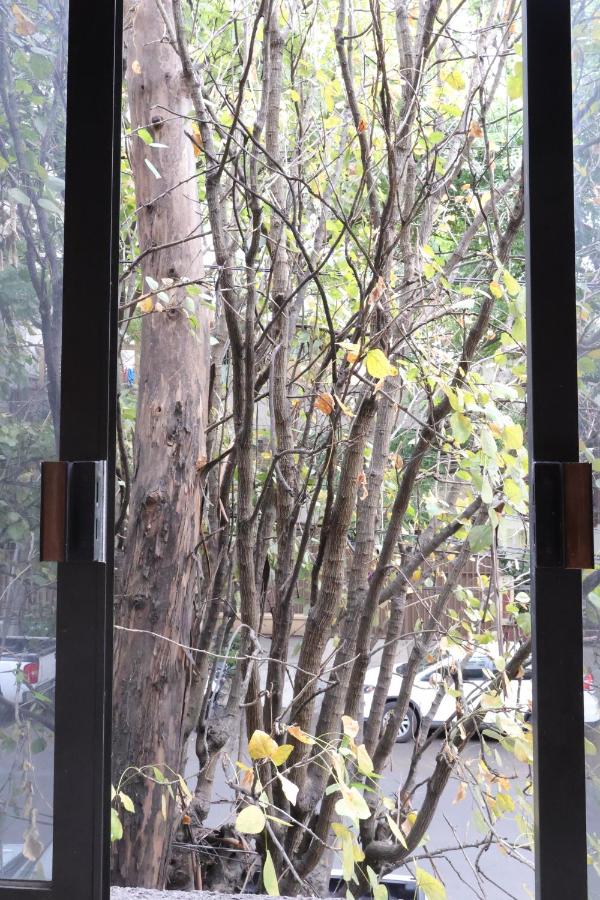 SanRafa Polanco I - 4