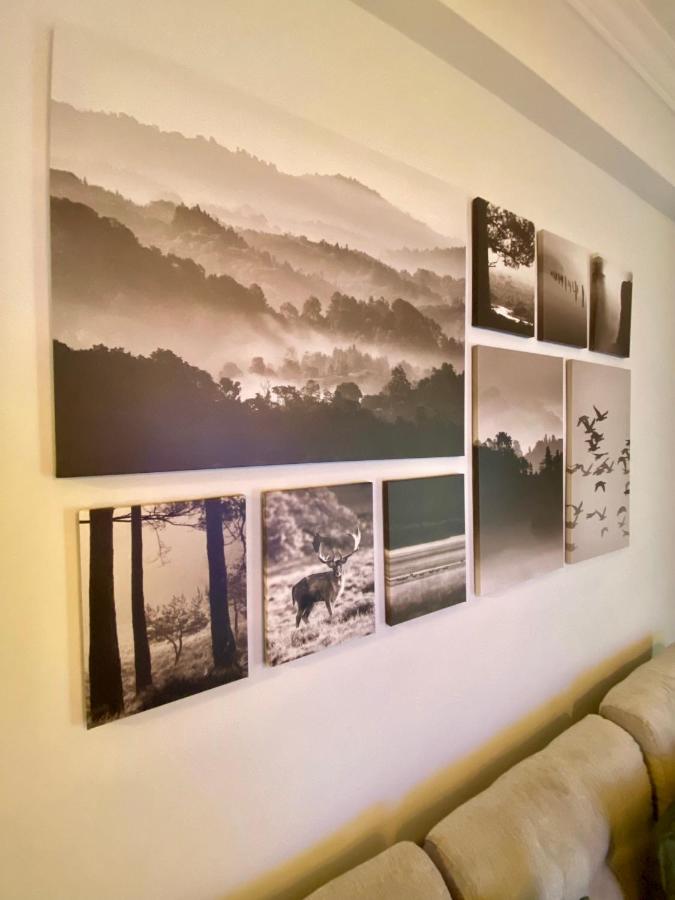 New Delightful Apartment - 4