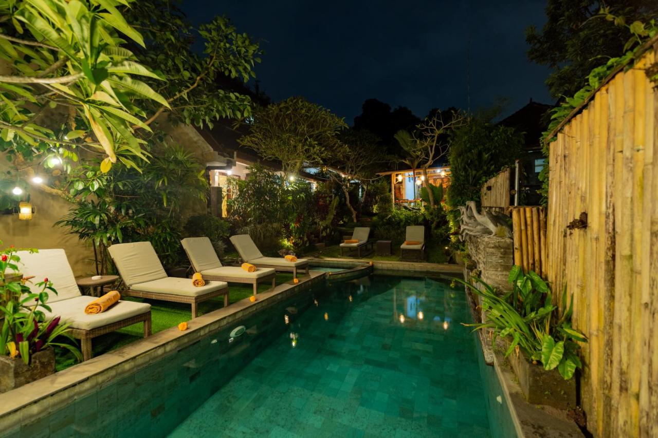 Desak Putu Putra Hidden - 4