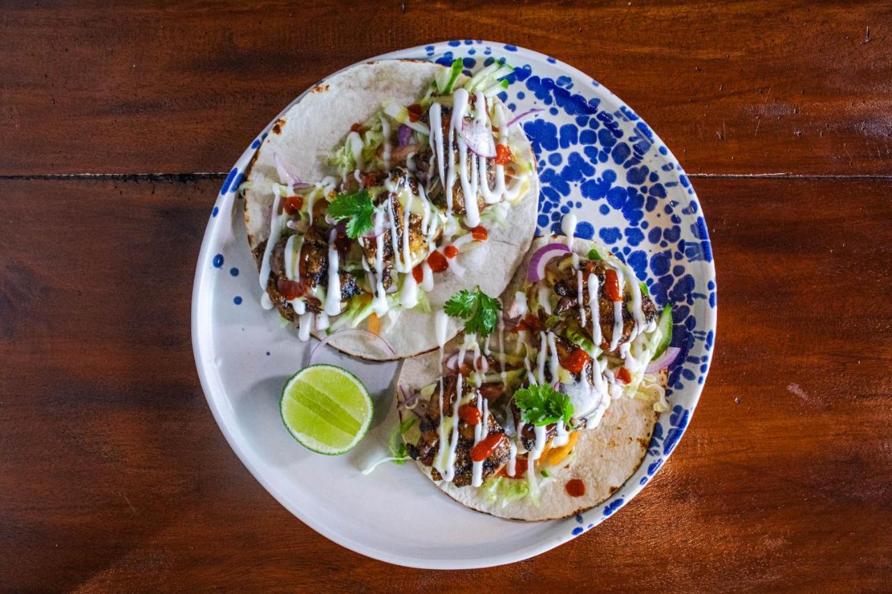 Whaleshark Beach - 4