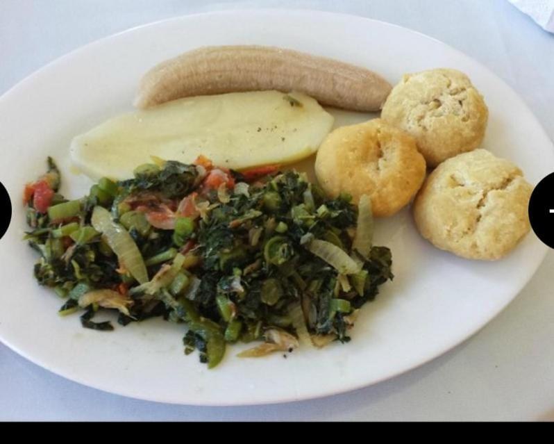 Escape to ParakeetHill B&B - 3