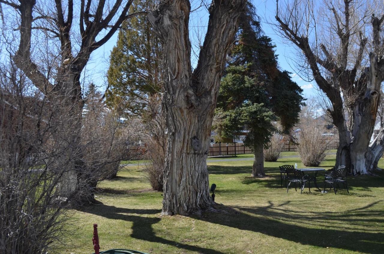 Silver Maple Inn — photo 22