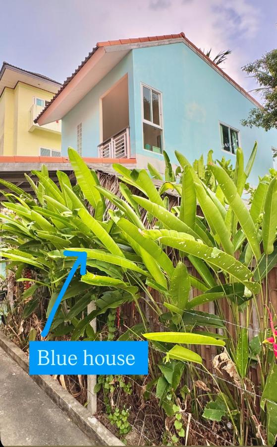 Sea Dreamer Beachfront Apartments - 2