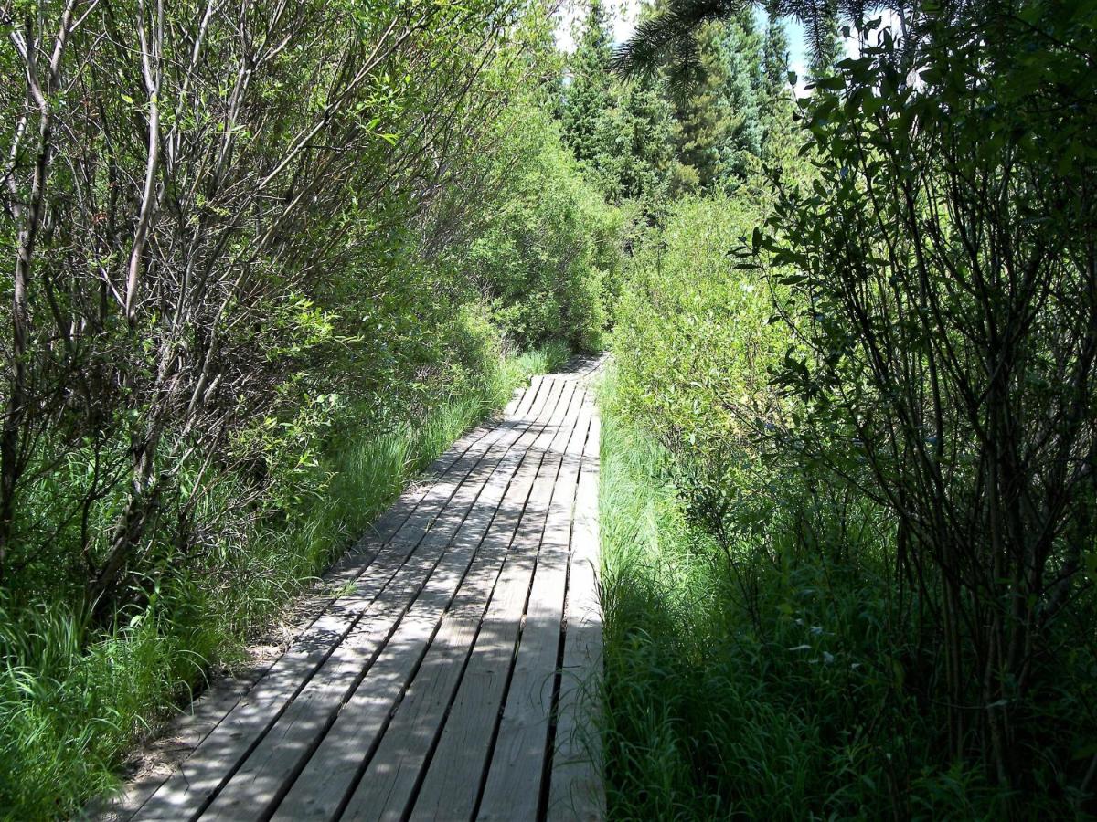 Buffalo Ridge — photo 10