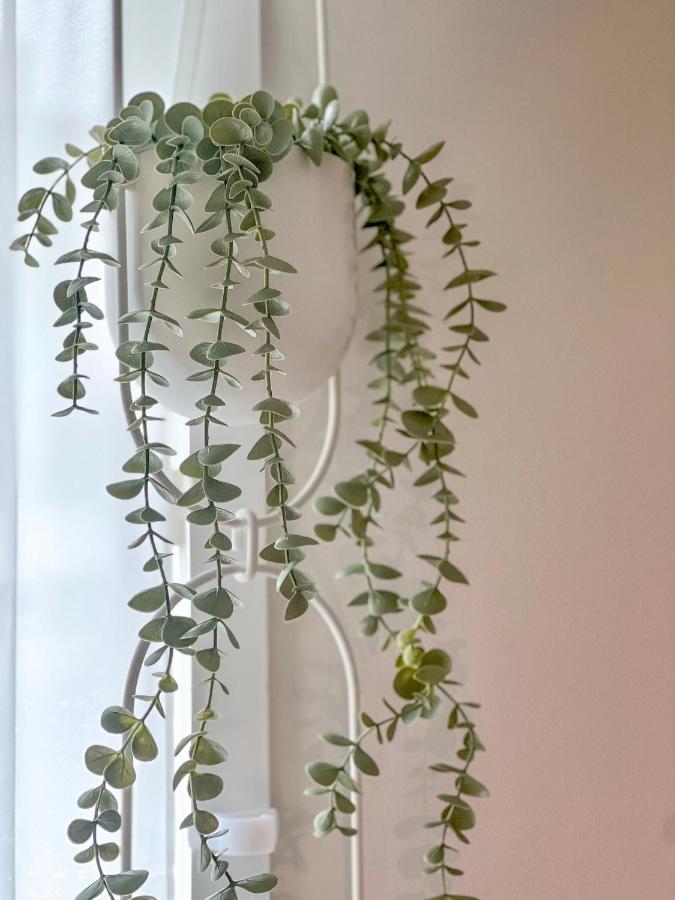 Hongdae Designer House with Large Beam Projector - 4