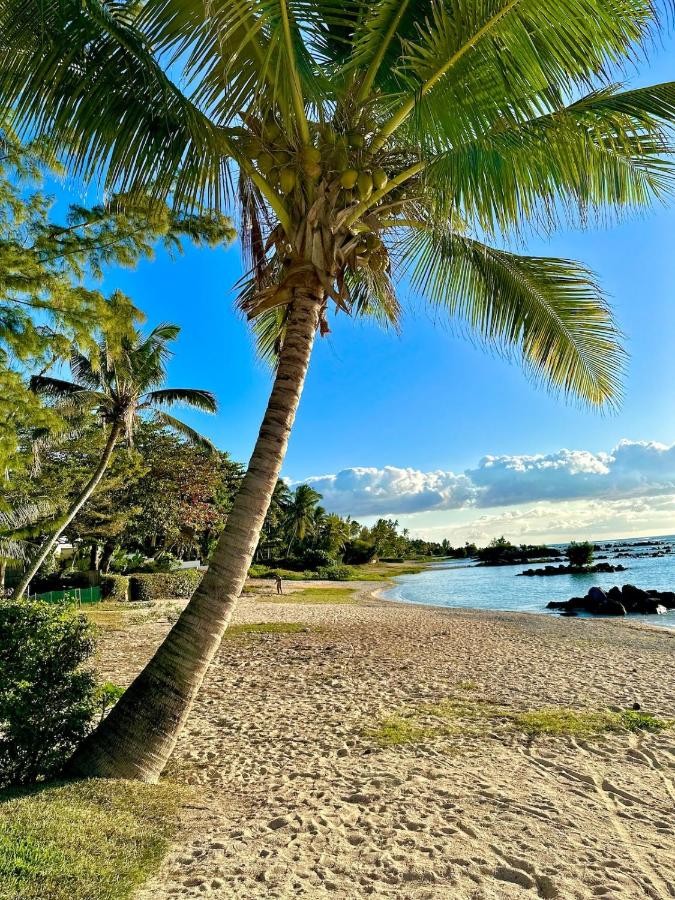 Trou aux Biches Cosy House - 5