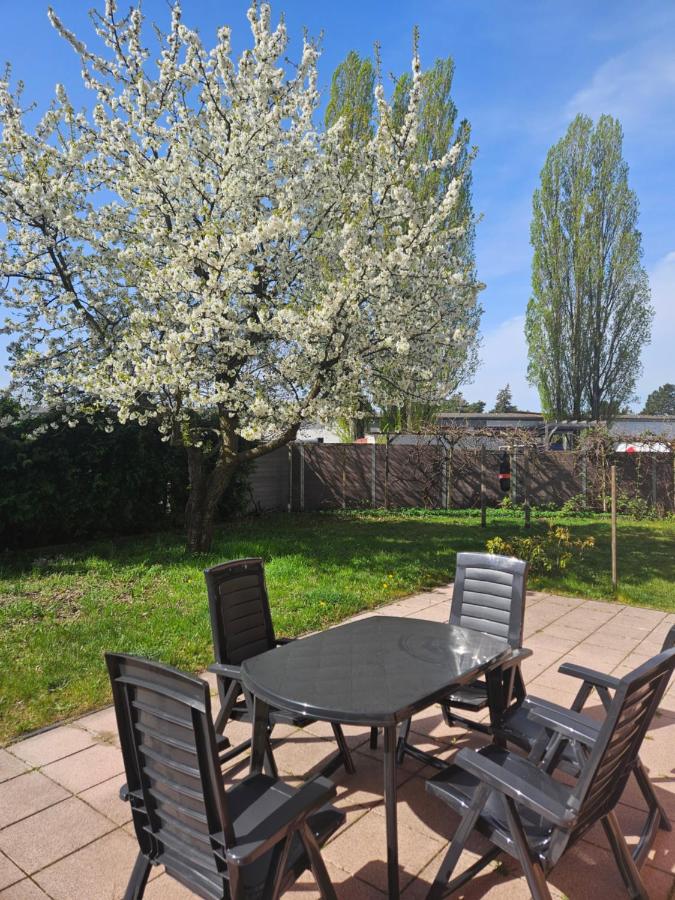 Cozy house and free parking - 5