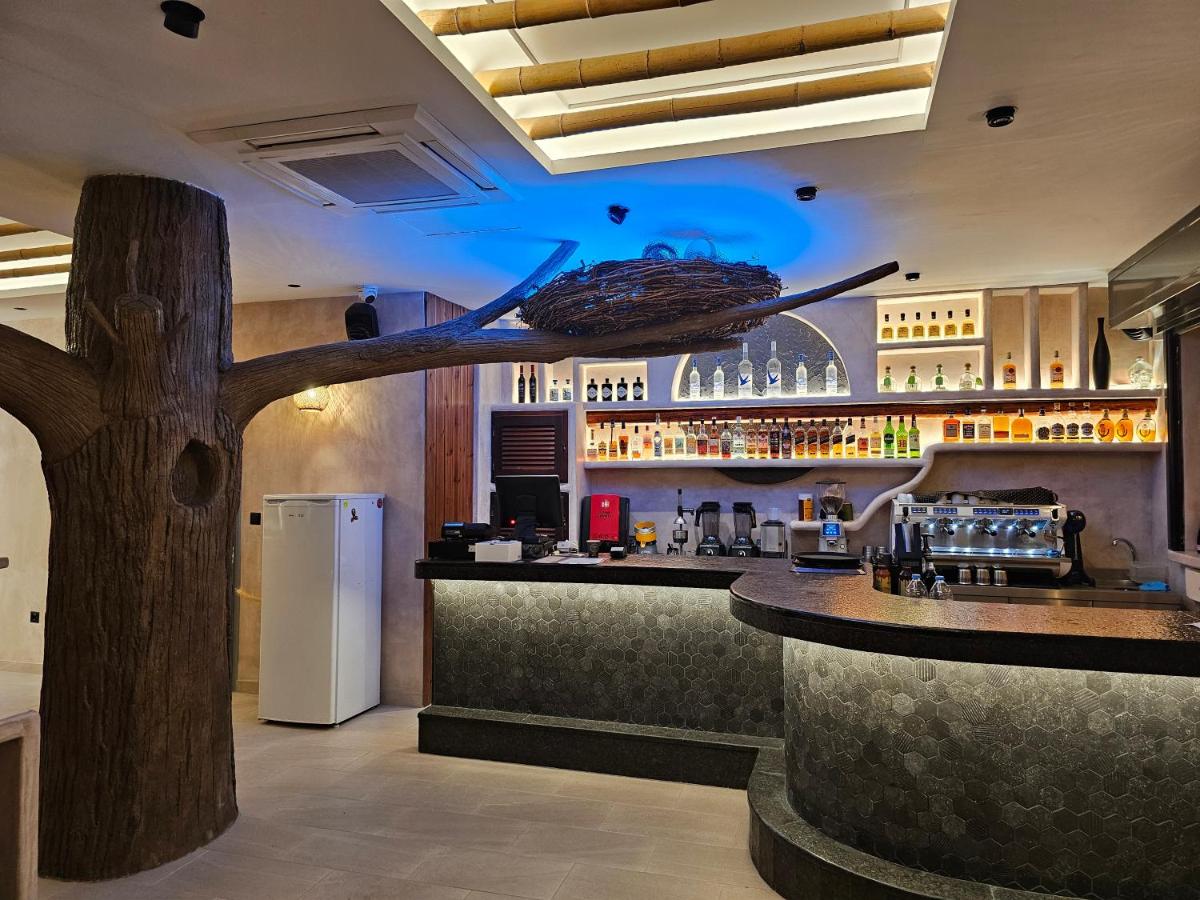 Elixir Del Mar on the Beach - 5