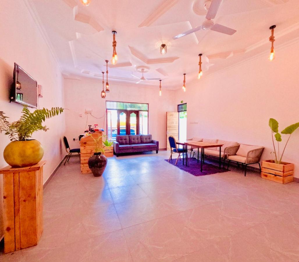 White Tern Maldives - 4