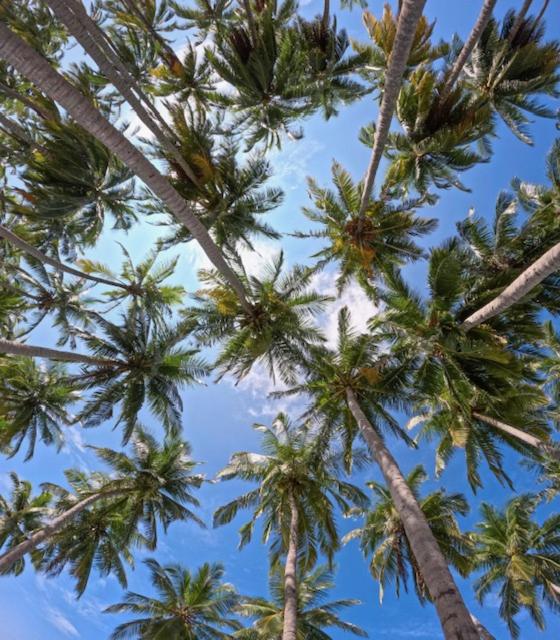 Ever Blue Guest House - 2