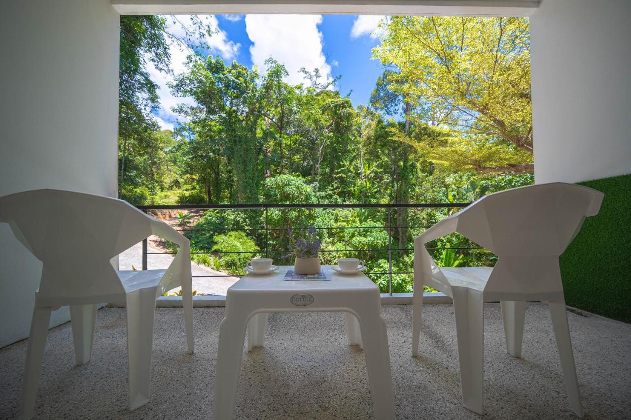 Kamala Natural Modern ApartmentHigh Speed WiFiBig Living Room - 5